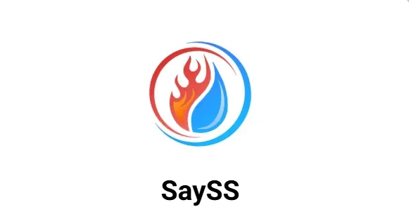 sayss 机场